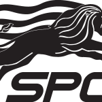 SPC Logo Vector