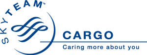 Skyteam Cargo Logo Vector