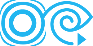 Spectrum TV Networks Logo Vector