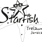 Starfish Logo Vector