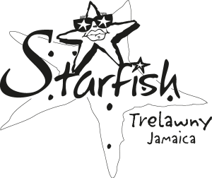 Starfish Logo Vector