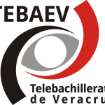 Tebaev Logo Vector