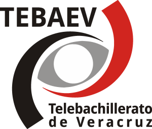 Tebaev Logo Vector