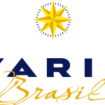 Varig Brasil Logo Vector