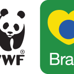 WWF Brasil Logo Vector