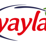 Yayla Bakliyat Logo Vector