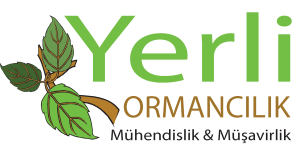 Yerli Ormancılık Logo Vector