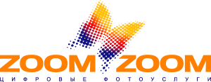 Zoomzoom Logo Vector