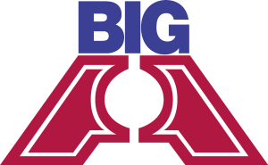 big a auto parts Logo Vector