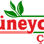 güneyce çay Logo Vector