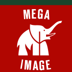 mega image Logo Vector