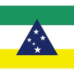 BANDEIRA DO MUNICÍPIO DE TEFÉ AMAZONAS Logo Vector