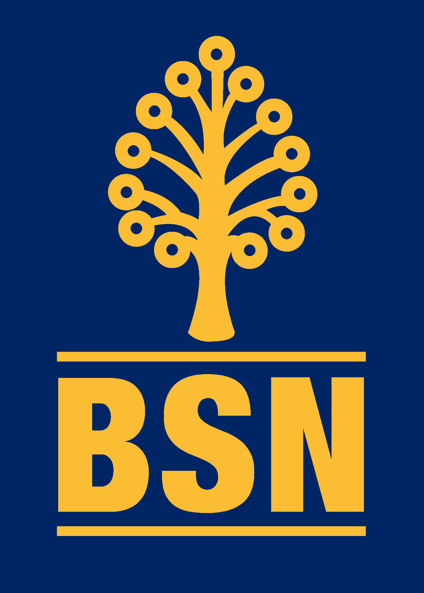BSN new Logo Vector