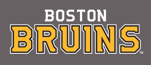 Boston Bruins new Logo Vector