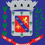 Brasao da Cidade de Arapongas PR Logo Vector