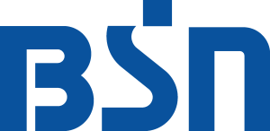 Bsn simple Logo Vector