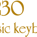 C 230 Classic Keyboard Logo Vector