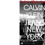 Calvin Klein 2 Logo Vector