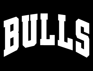 Chicago Bulls White Logo Vector