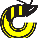 Cincinnati Stingers Logo Vector