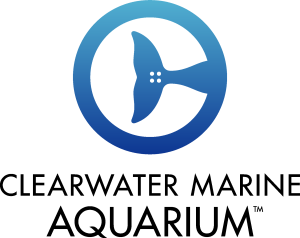 Clearwater Marine Aquarium Logo Vector