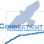 Connecticut Falconers Association Logo Vector