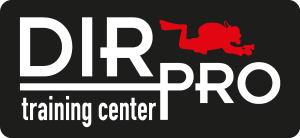 DIR PRO training center Logo Vector