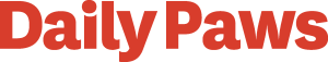 Daily Paws Logo Vector