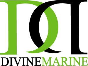 Divine Marine Fiberglass Logo Vector