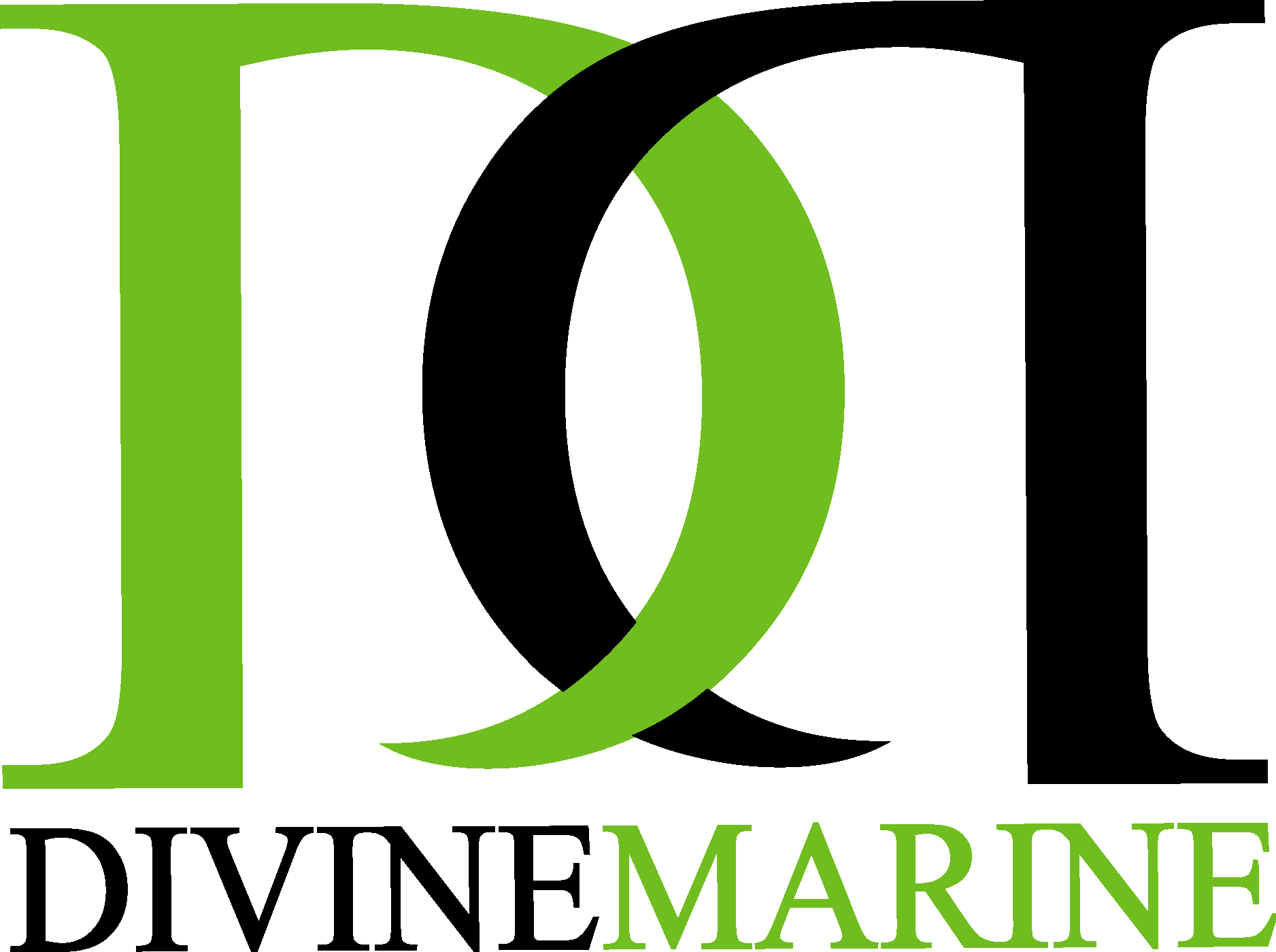 Divine Marine Fiberglass Logo Vector