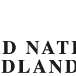 Edward Nathan & Friedland Logo Vector