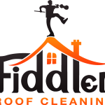 Fiddler Logo Vector