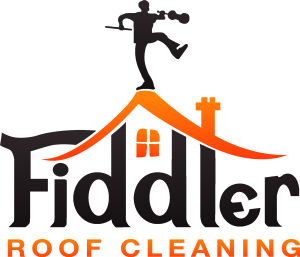 Fiddler Logo Vector