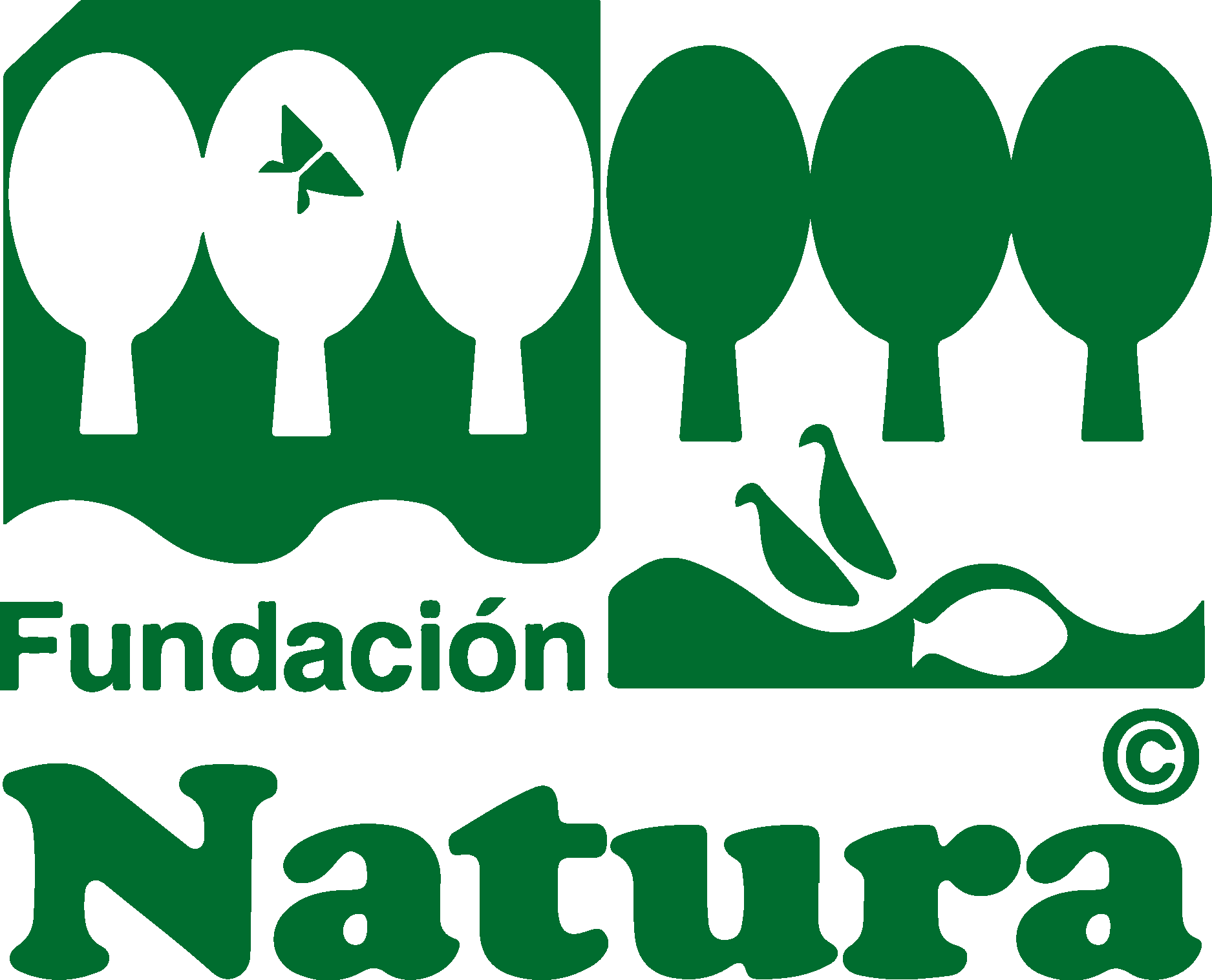 Fundación Natura Logo Vector