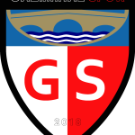 Gazimihalspor Logo Vector