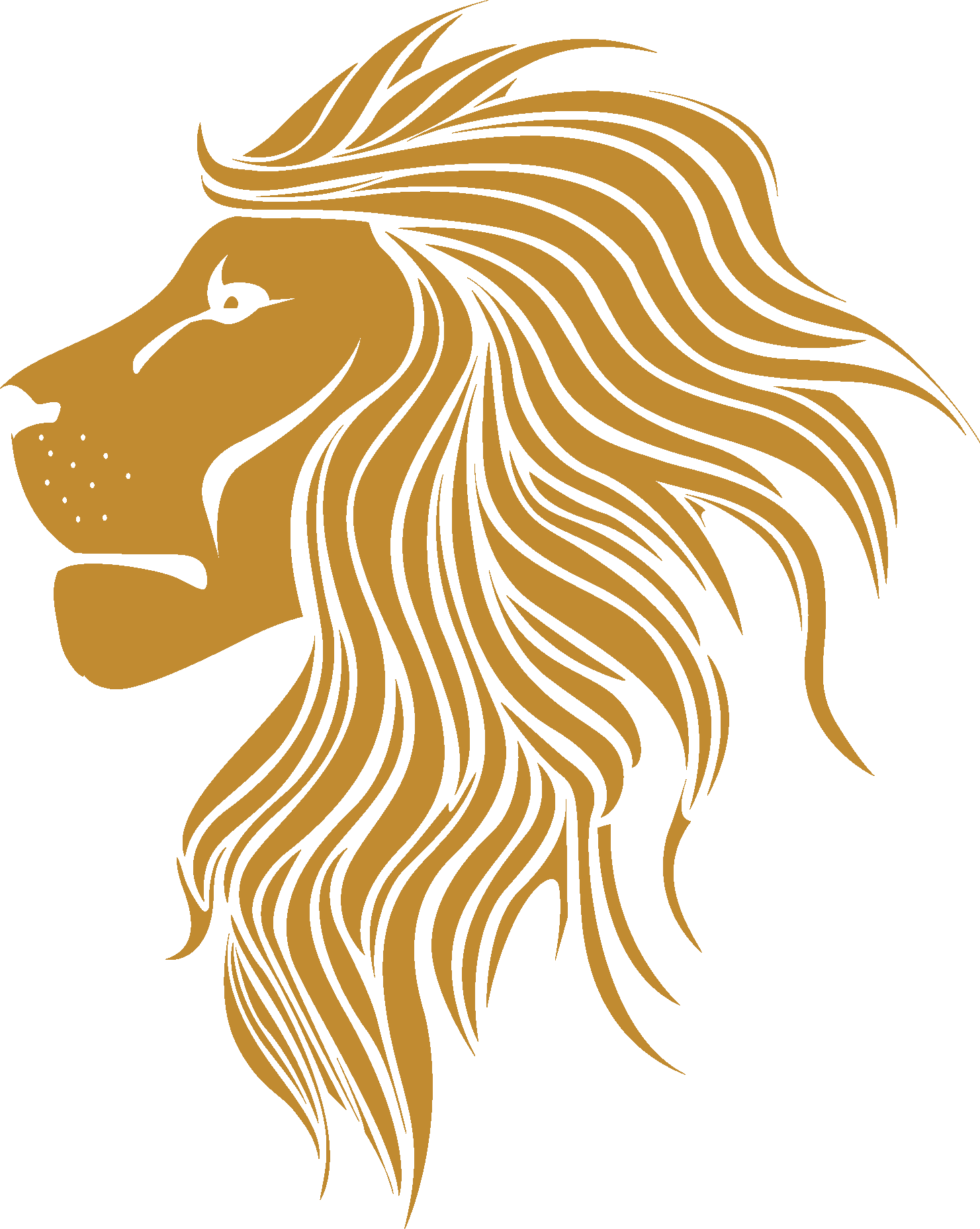 Lion logo. Лев логотип. Золотой Лев эмблема. Золотая голова Льва. Золотой контур головы Льва.