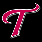 LG Twins insignia Logo Vector