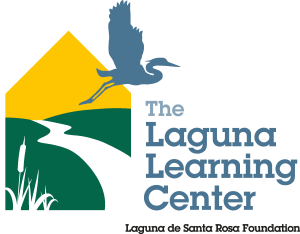 Laguna Learning Center Logo Vector