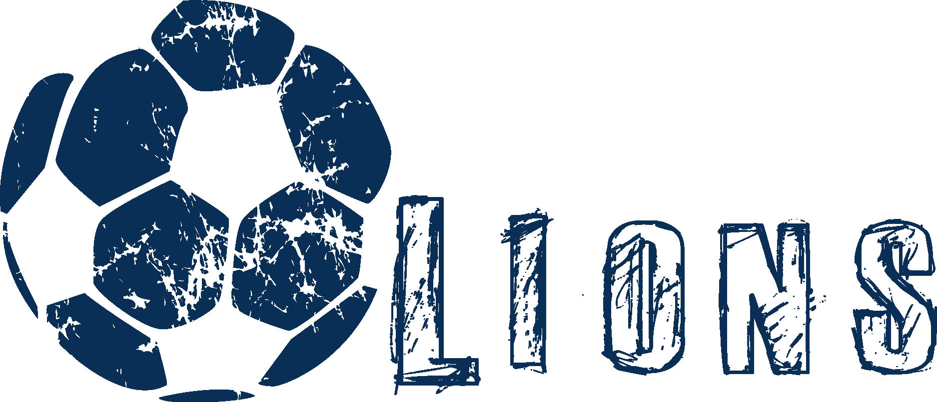 Lions Soccer Logo Vector