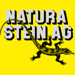 NATURA STEIN Logo Vector