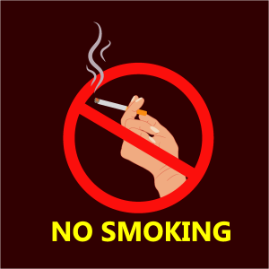 NO SMOKING HERE Logo Vector