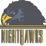 NORFOLK NIGHTHAWKS NEW Logo Vector