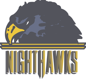 NORFOLK NIGHTHAWKS NEW Logo Vector