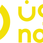 Noon Logo Vector