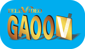Panasonic GAOO Logo Vector