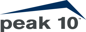 Peak 10 Logo Vector