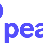 Peak Money Logo Vector