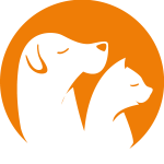 Petzzshop Icon Logo Vector