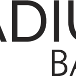 Radius Bank Wordmark Logo Vector