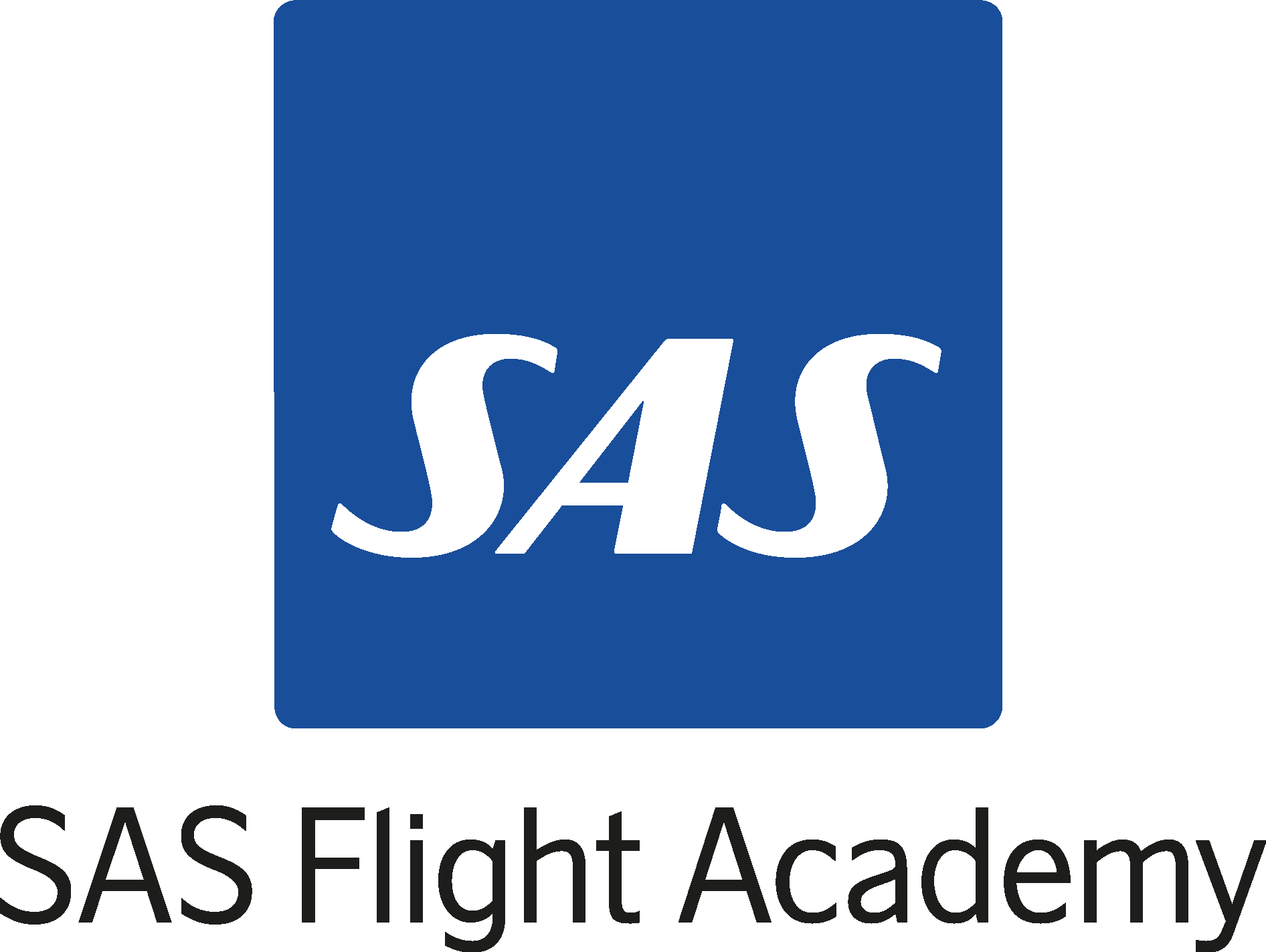 SAS компания. SAS Group logo. Scandinavian Airlines багаж. Scandinavian Airlines logo.